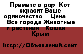 Примите в дар. Кот скрасит Ваше одиночество. › Цена ­ 0 - Все города Животные и растения » Кошки   . Крым